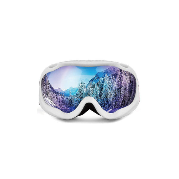 Ski Goggles